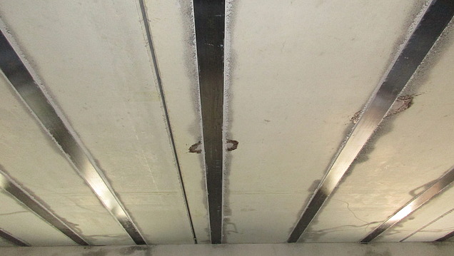 Foto von CFK Lamellen